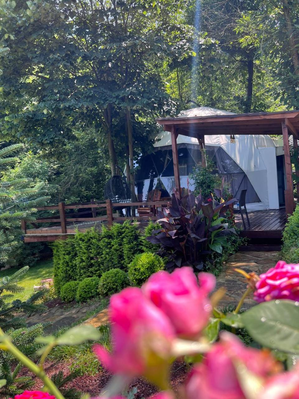 Me-Ga Glamping Hotel Sapanca Kültér fotó